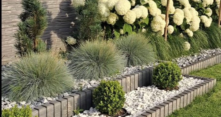 25 Stunning Landscaping Ideas Along Your Fence