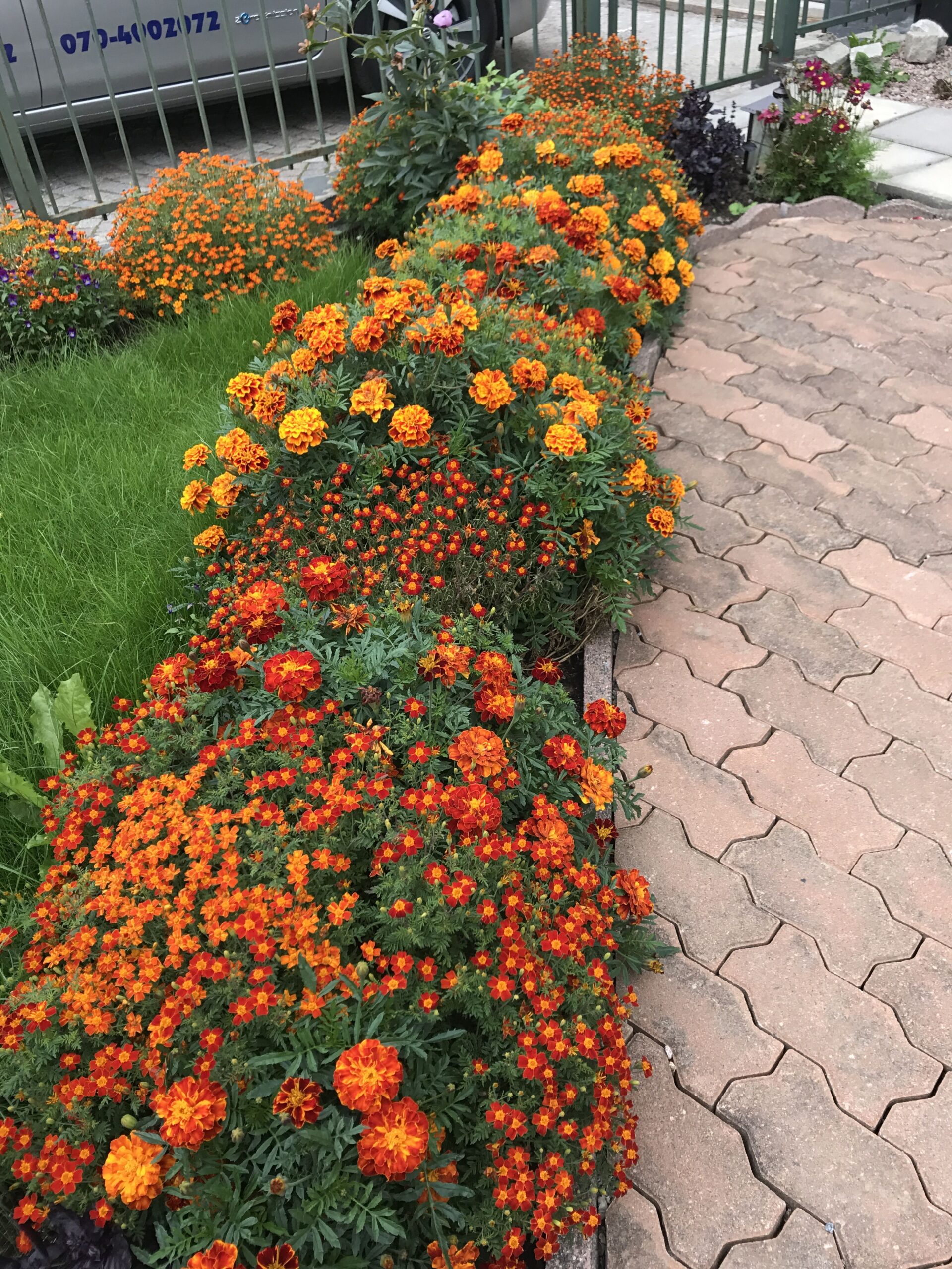 30 Stunning Flower Bed Ideas to Transform Your Garden