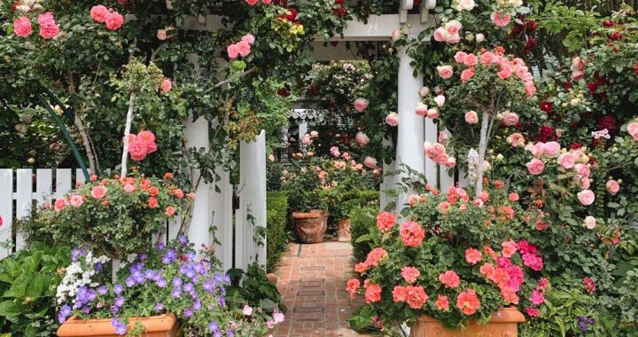 25 Enchanting Flower Gate Ideas