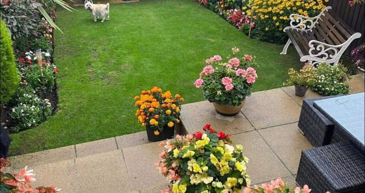 28 Charming Garden Ideas That You’ll Like