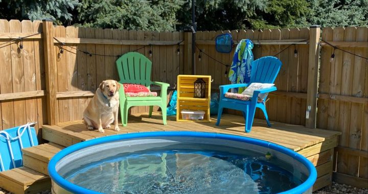 21 Creative Small Pool Designs You Need to See