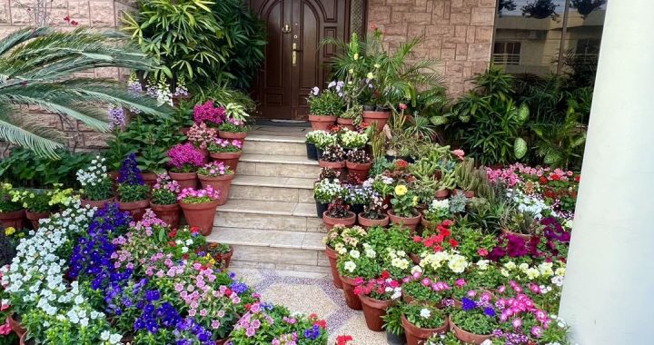 32 Stunning Porch Ideas with Plants