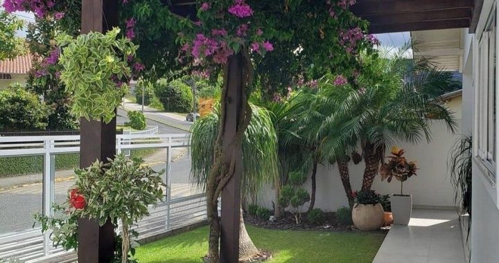 20 Pergola Designs with Beautiful Trellis Plants