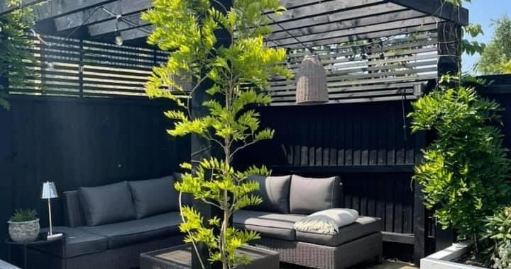 16 Simple Pergola Ideas to Transform Your Outdoor Space