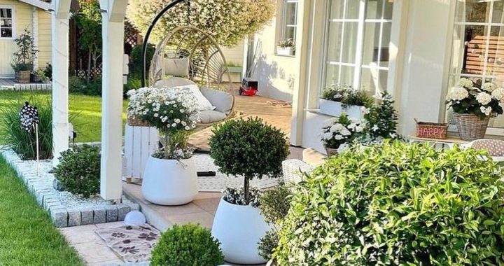 20 Great Pergola Designs for a Dreamy Backyard