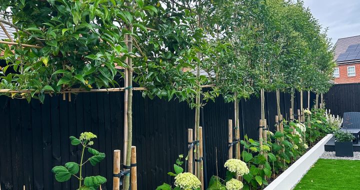 23 Stunning Fence Ideas That You’ll Like