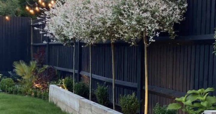 24 Great Fence Ideas to Elevate Your Outdoor Space