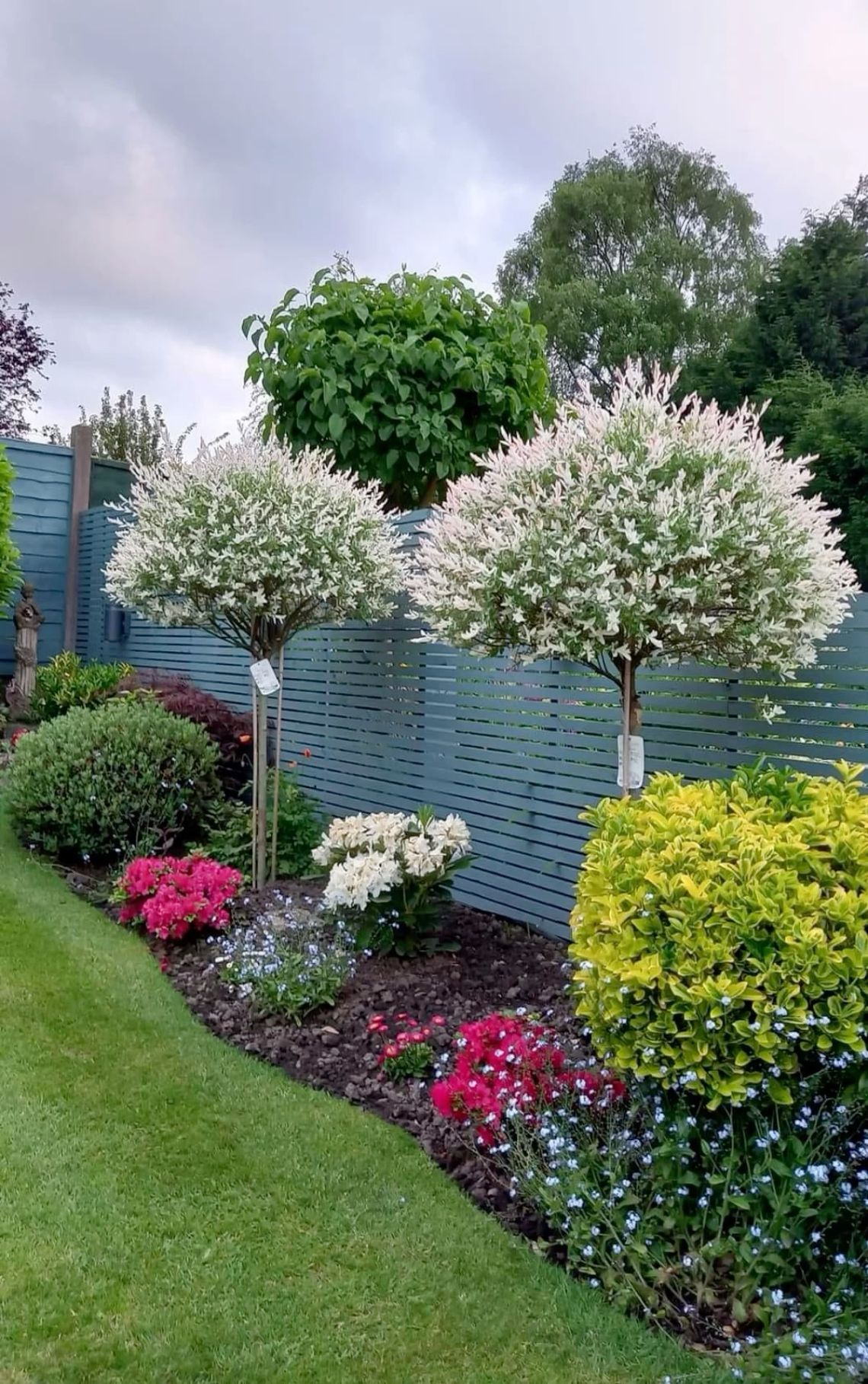 23 Inspiring Fence Ideas to Boost Your Curb Appeal