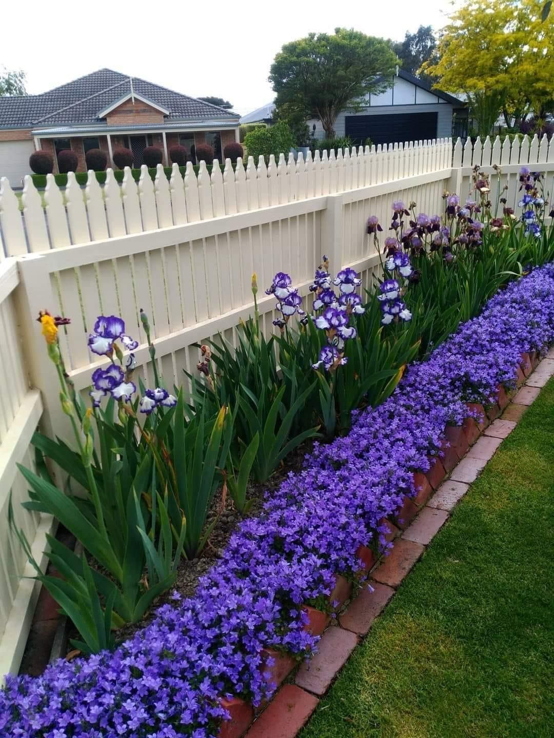 21 Great Fence Ideas You’ll Love