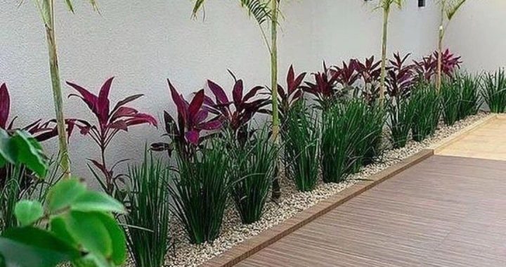 20 Creative Fence Ideas for Every Backyard