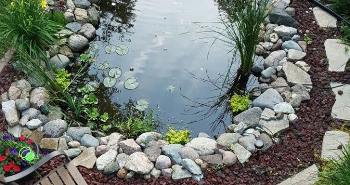 22 Garden Ideas to Inspire Your Dream Oasis