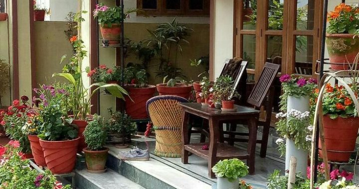 20 Beautiful Porch Ideas to Elevate Your Home’s Curb Appeal