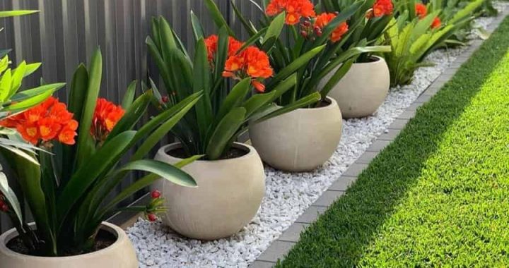 23 Fence Decor Ideas to Elevate Your Yard