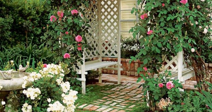 20 Garden Gate Ideas to Enhance Your Outdoor Entryways