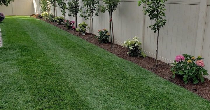 23 Simple Fence Ideas to Enhance Your Outdoor Space