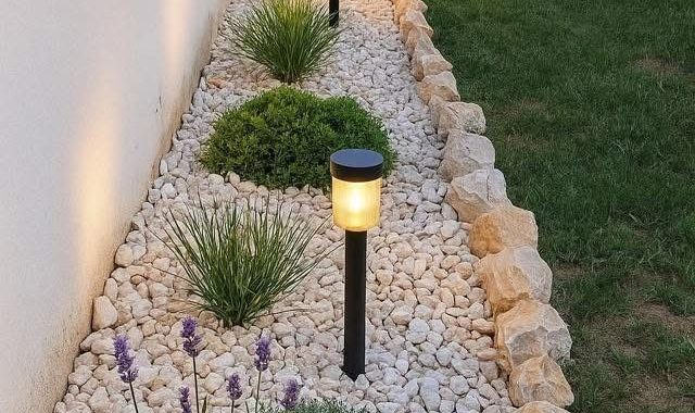 22 Fence Ideas to Enhance Your Outdoor Space