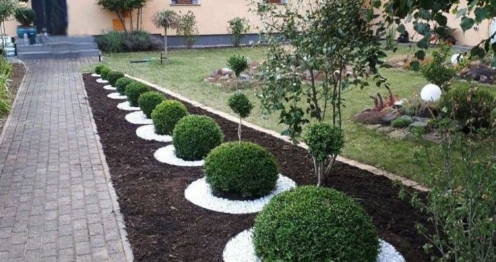 21 Front Yard Ideas to Boost Your Home’s Curb Appeal
