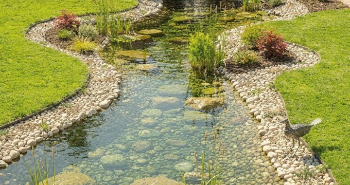20 Creative Garden Bridge Design Ideas for a Beautiful Landscape