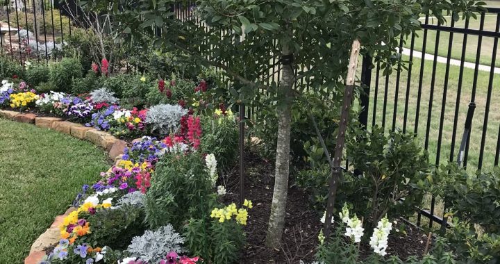 21 Garden Edging Ideas to Transform Your Outdoor Space
