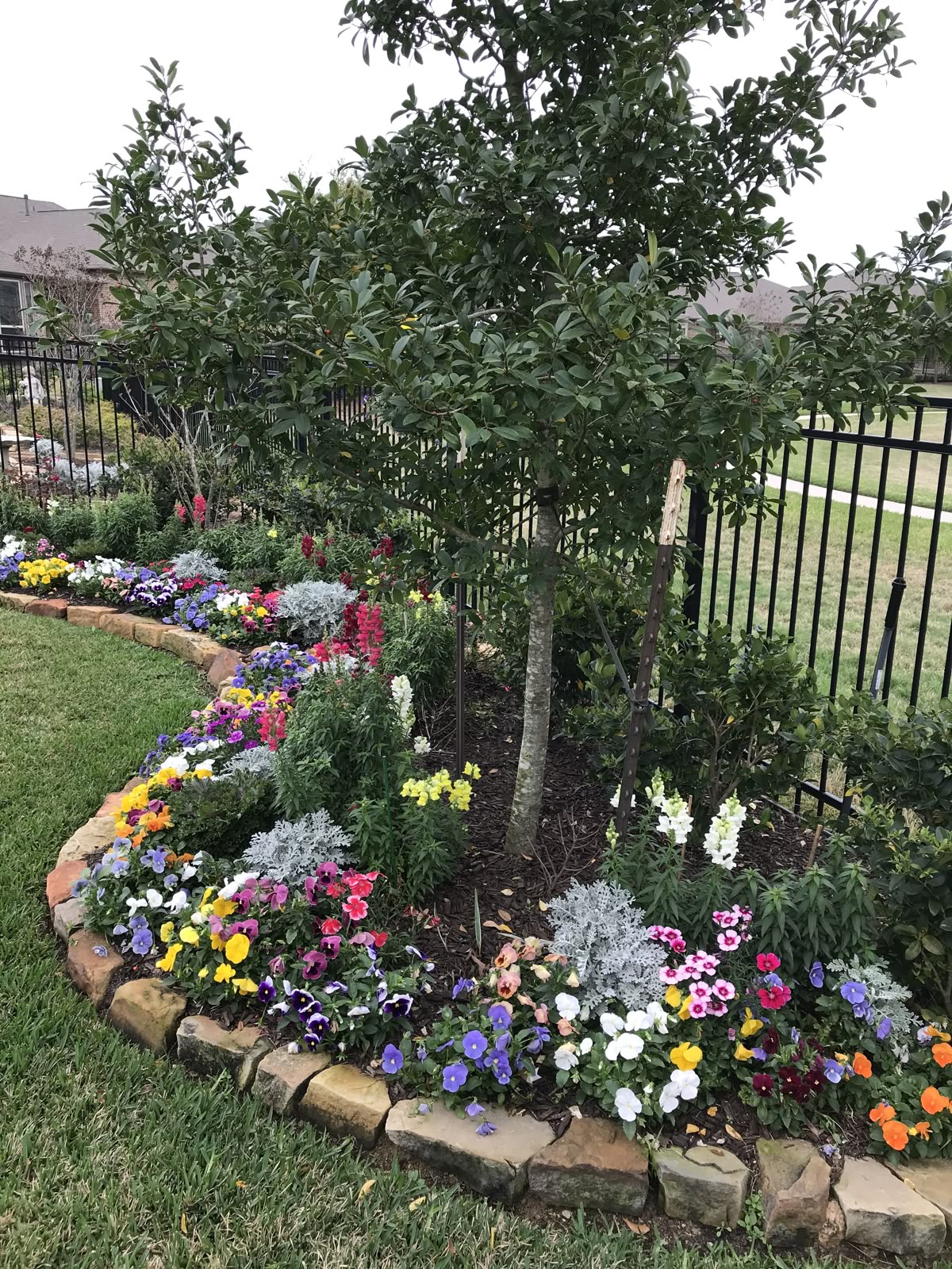 21 Garden Edging Ideas to Transform Your Outdoor Space