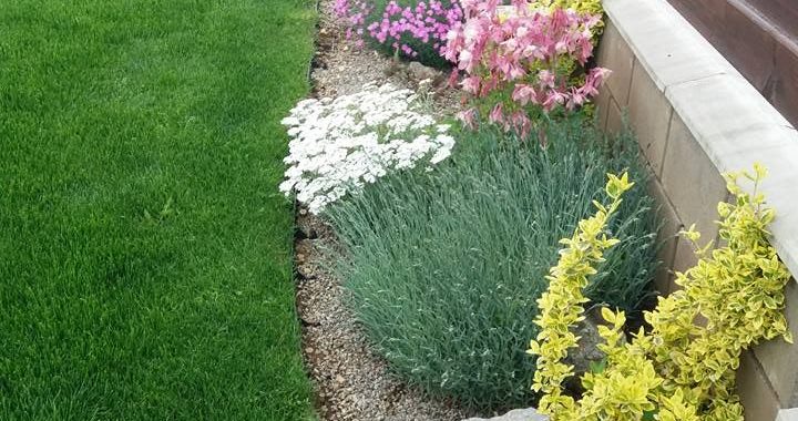 24 Stunning Garden Corners That Will Inspire Your Outdoor Space