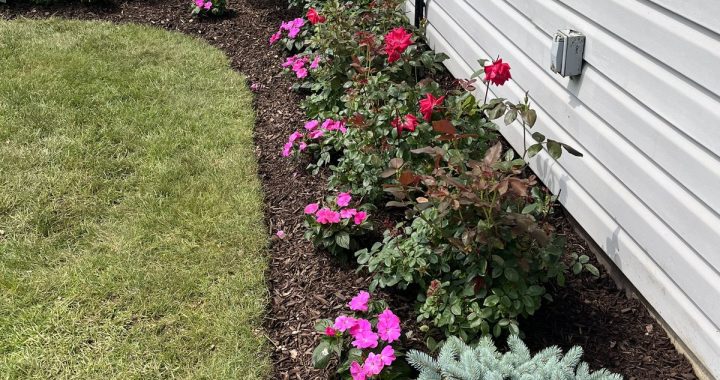 21 Stunning Landscaping Ideas for a Beautiful Outdoor Space