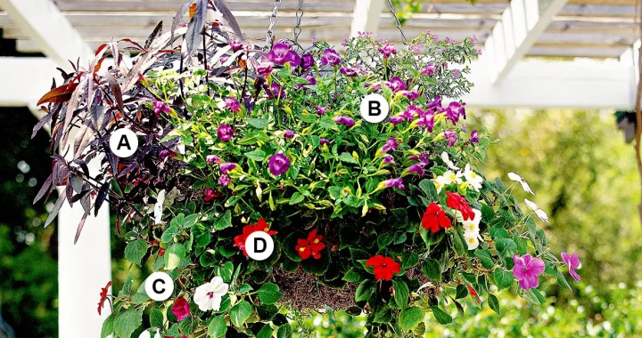 25 Stunning Hanging Basket Ideas to Beautify Your Yard