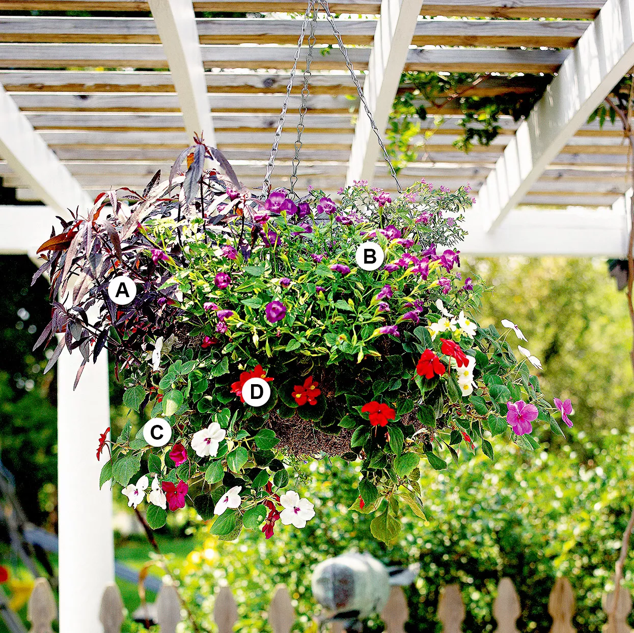 impatiens and wax begonia bold hanging basket
