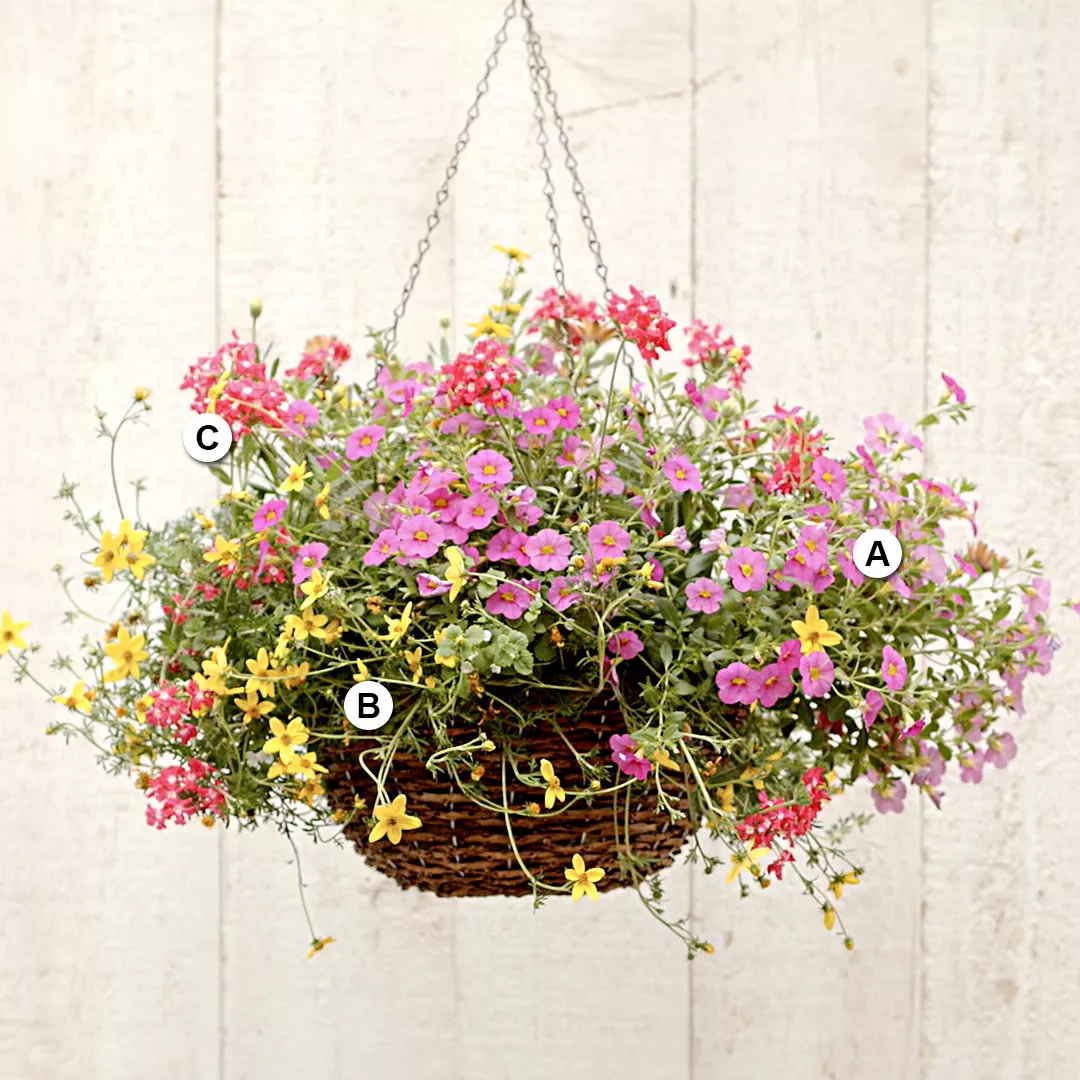 pink and yellow hanging basket on neutral fence