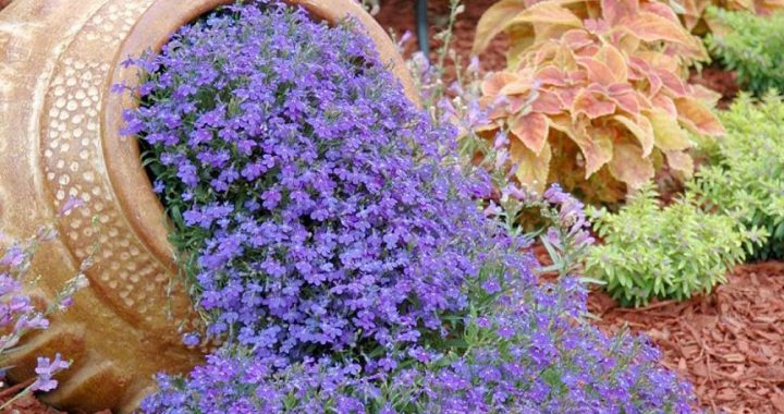 20 Spilled Flower Pot Ideas to Brighten Up Your Garden Landscape