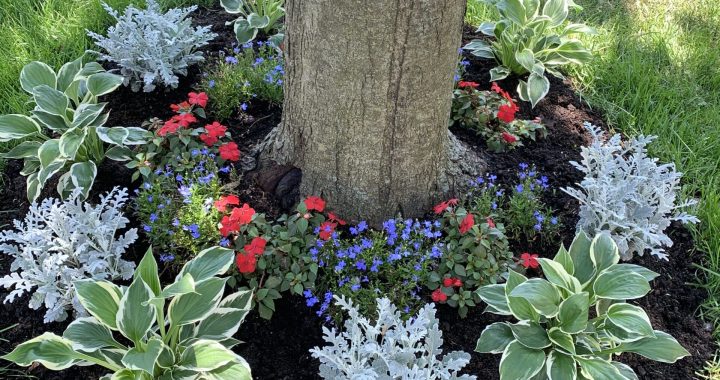 25 Stunning Landscaping Ideas Around Trees That You’ll Like