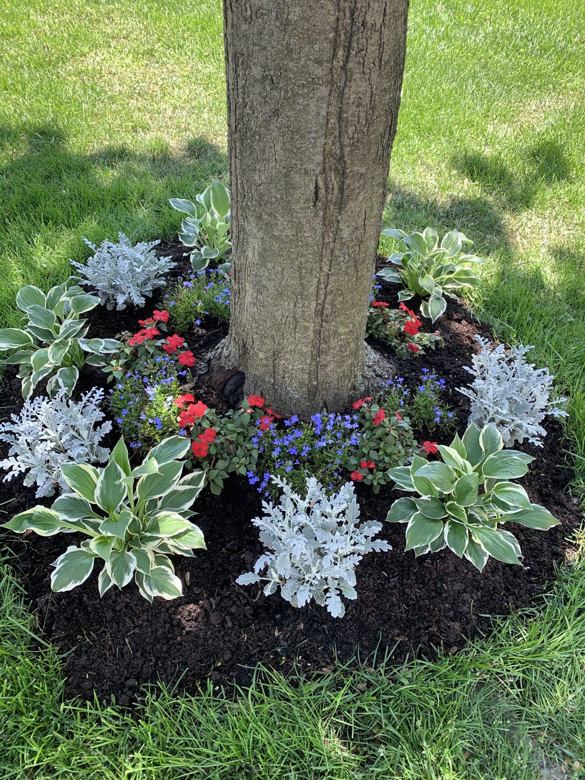 25 Stunning Landscaping Ideas Around Trees That You’ll Like