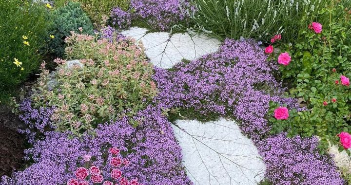 21 Inspiring Walkway Designs: Transforming Your Path with Beauty
