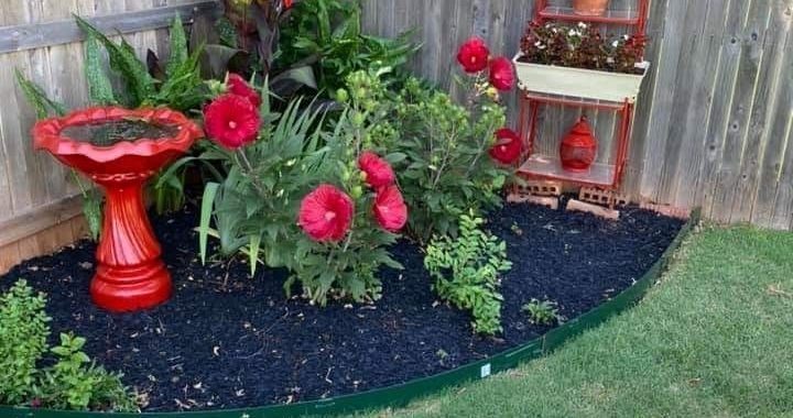 24 Ideas to Enhance Your Garden with Charming Small Corner Designs