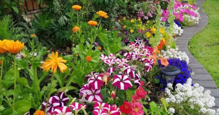 28 Charming Flower Bed Ideas That You’ll Fall in Love With