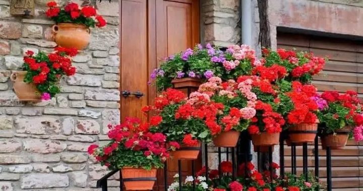 25 Mediterranean Garden Ideas for Your Outdoor Space