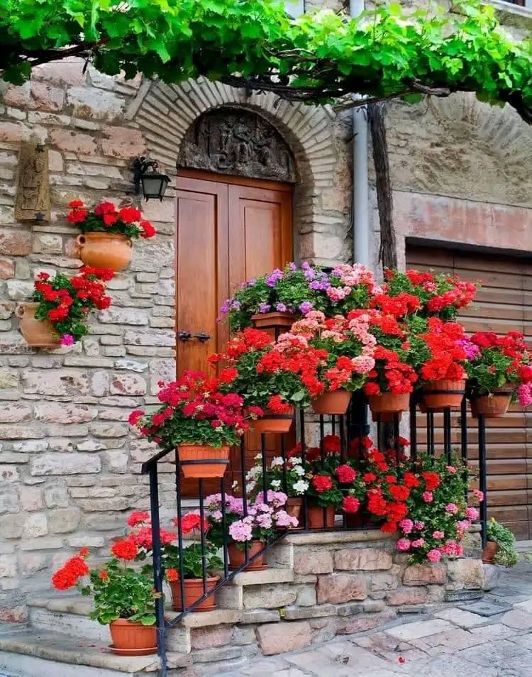 25 Mediterranean Garden Ideas for Your Outdoor Space
