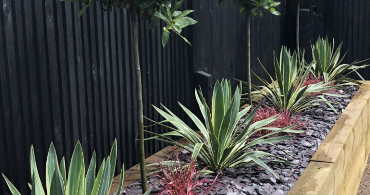 32 Gorgeous Landscaping Ideas for Along Your Fence