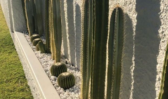 38 Gorgeous Landscaping Ideas Along Fences You’ll Fall in Love With