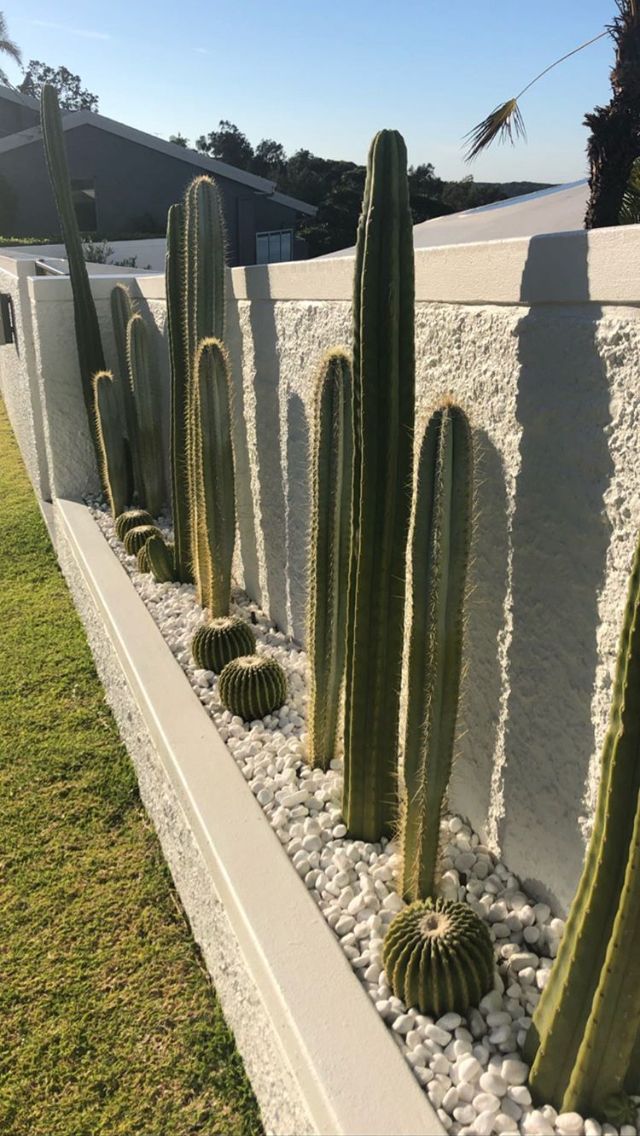 38 Gorgeous Landscaping Ideas Along Fences You’ll Fall in Love With 38 Gorgeous Landscaping Ideas Along Fences You’ll Fall in Love With