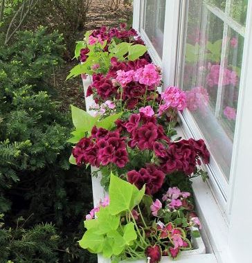29 Beautiful Window Box Ideas to Brighten Your Home