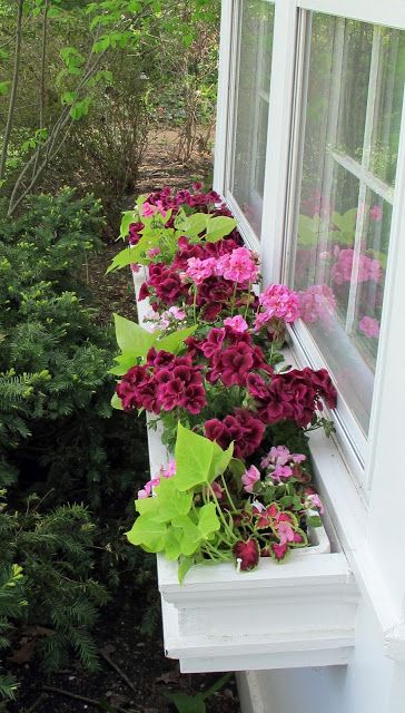 29 Beautiful Window Box Ideas to Brighten Your Home