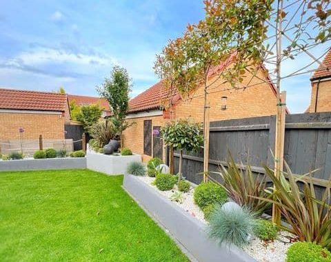 45 Simple Landscaping Ideas to Enhance Your Fence