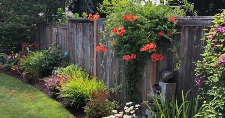 33 Inspiring Landscaping Ideas to Enhance Your Fence