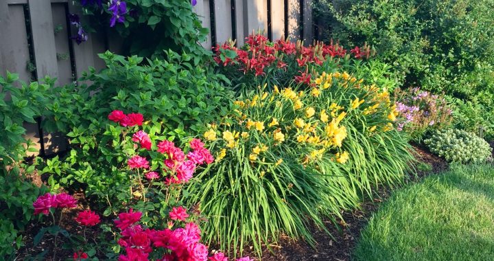 21 Landscaping Fence Ideas to Transform Your Yard