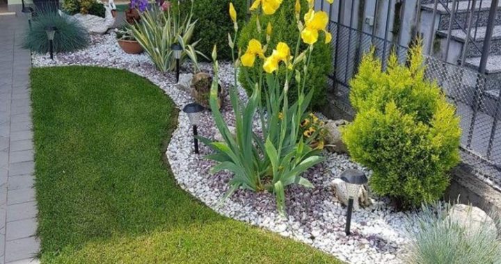 28 Stunning Corner Garden Ideas to Transform Your Space
