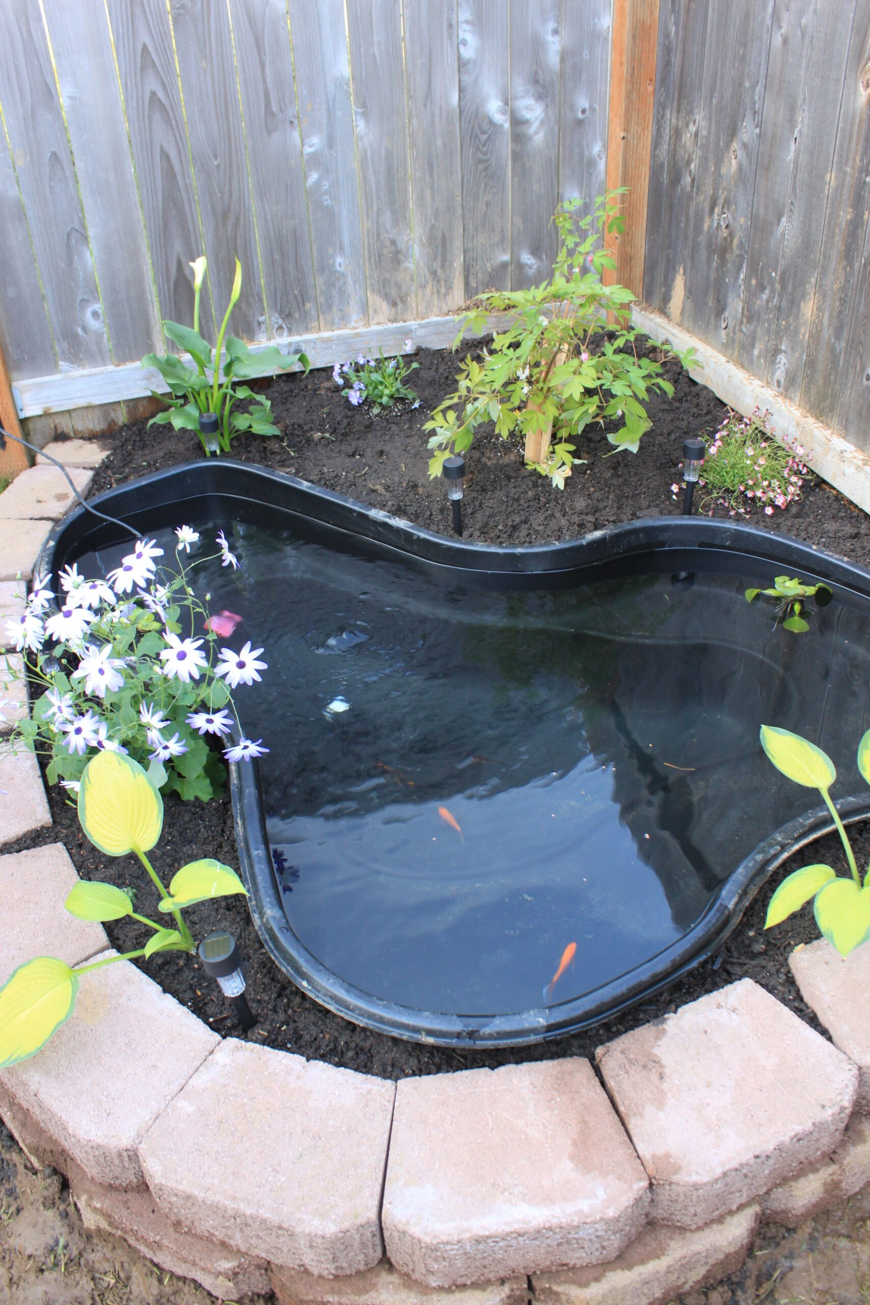 15 Small Pond Design Ideas